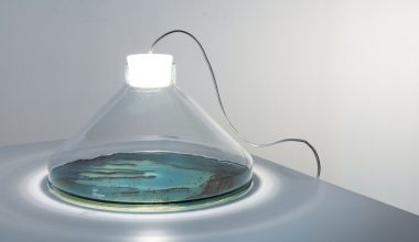 Лампы с бактериями от Яна Клинглера